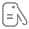 Immobilizer Key